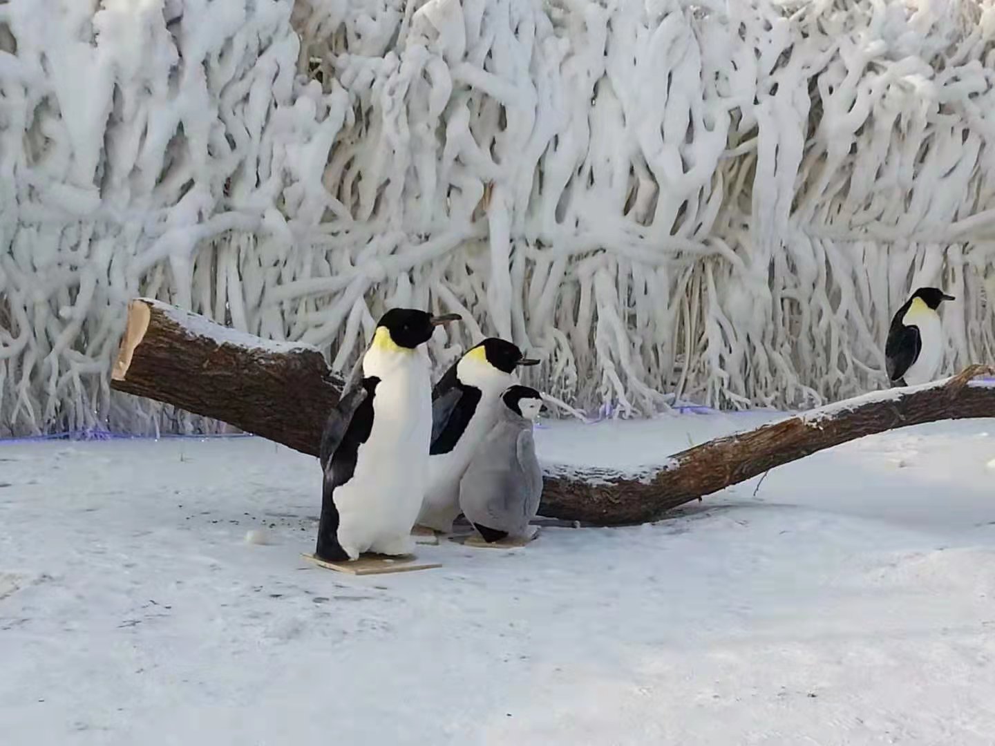 霧凇雪景 class=